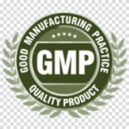 GMP Quality