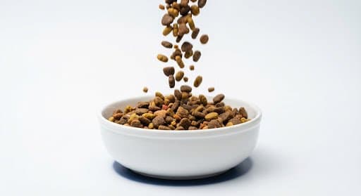 United Petfood ile Stratejik Ortaklık